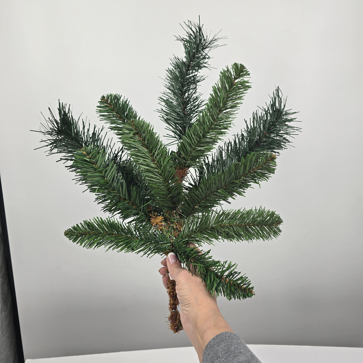 18&quot; Sierra Pine--#ysr018