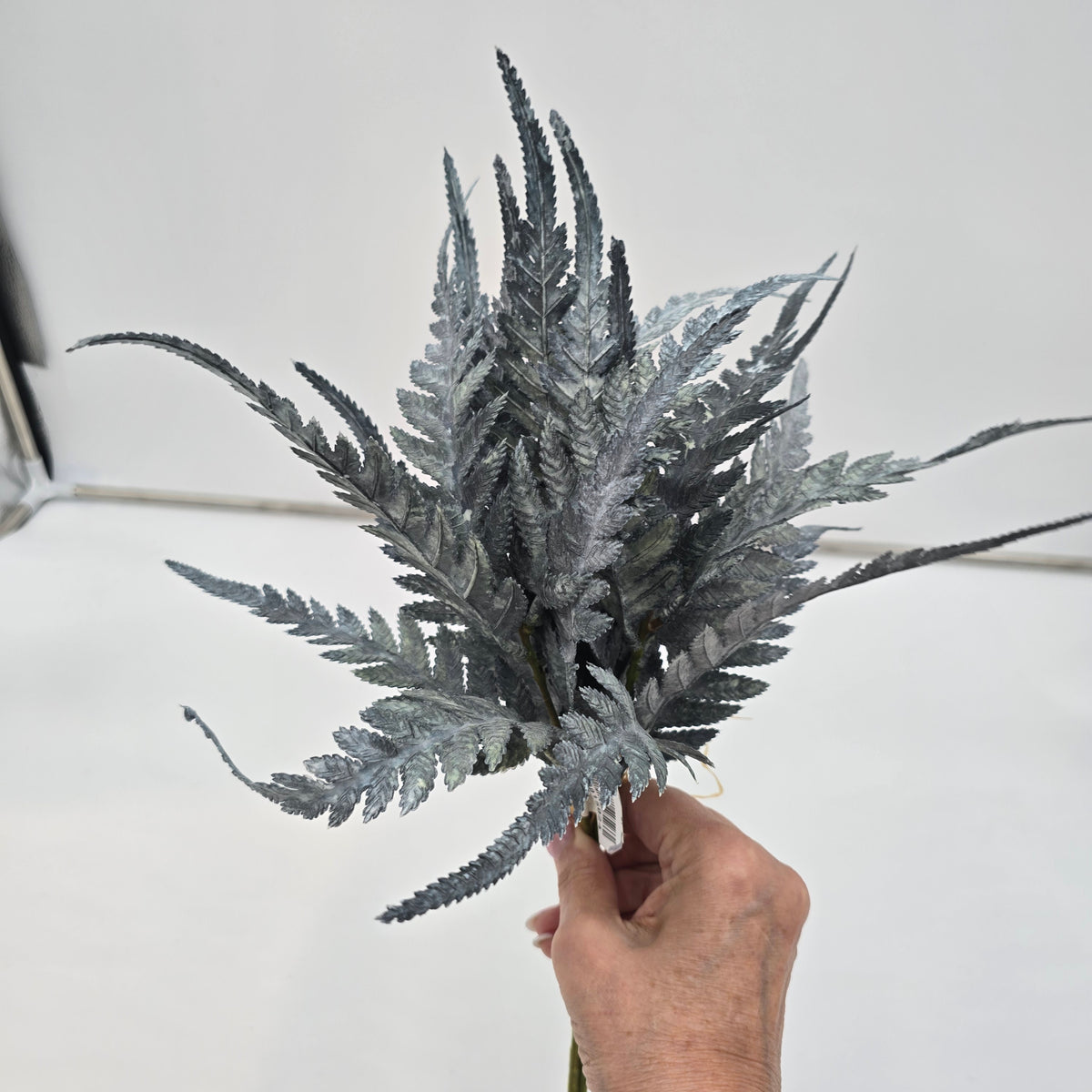 16.5&quot;FERN BUNDLE-#xab543-gr