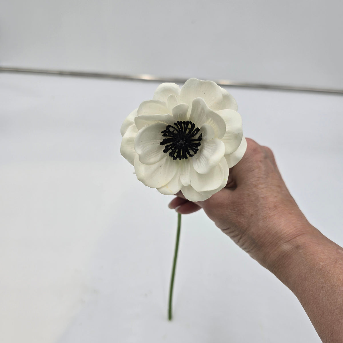 Real-touch Anemone--#fsa259