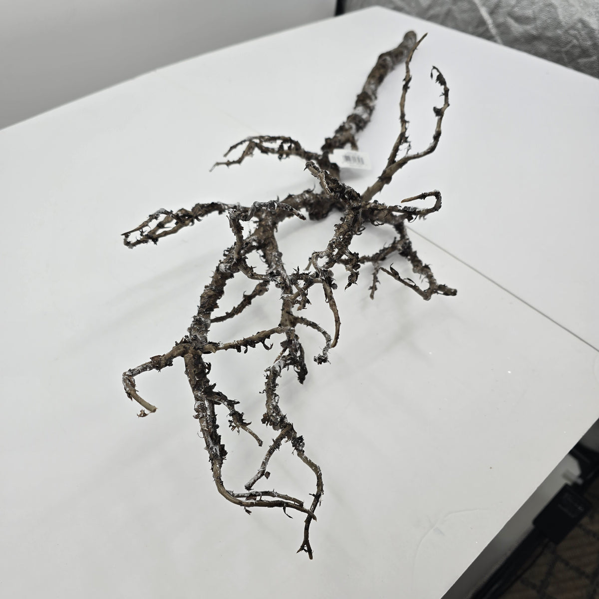 36&quot; Twig Spray--#Xaq527