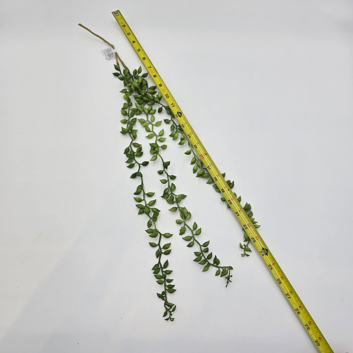 26&quot;String of Pearls--#CS2011