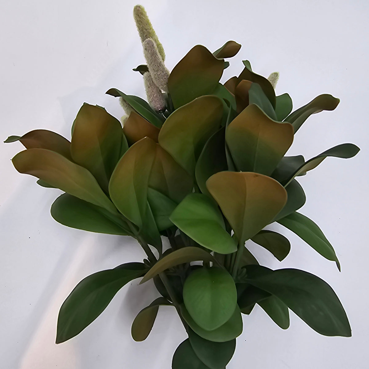 Magnolia Leaf Bundle