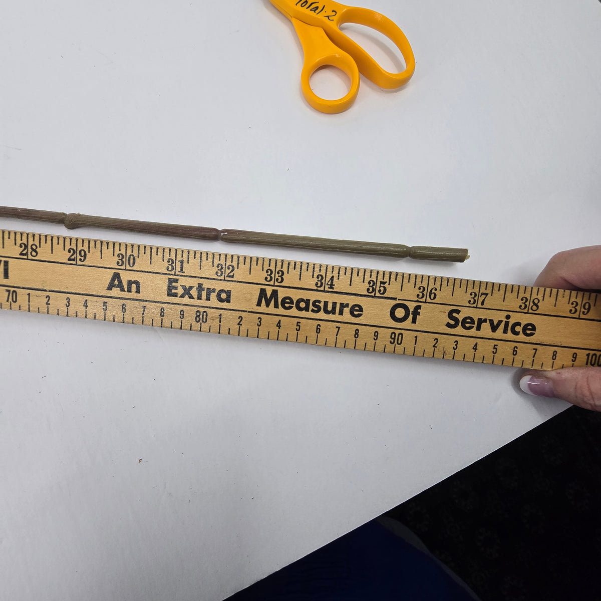 38&quot; Maple Leaf Spray--#psm833