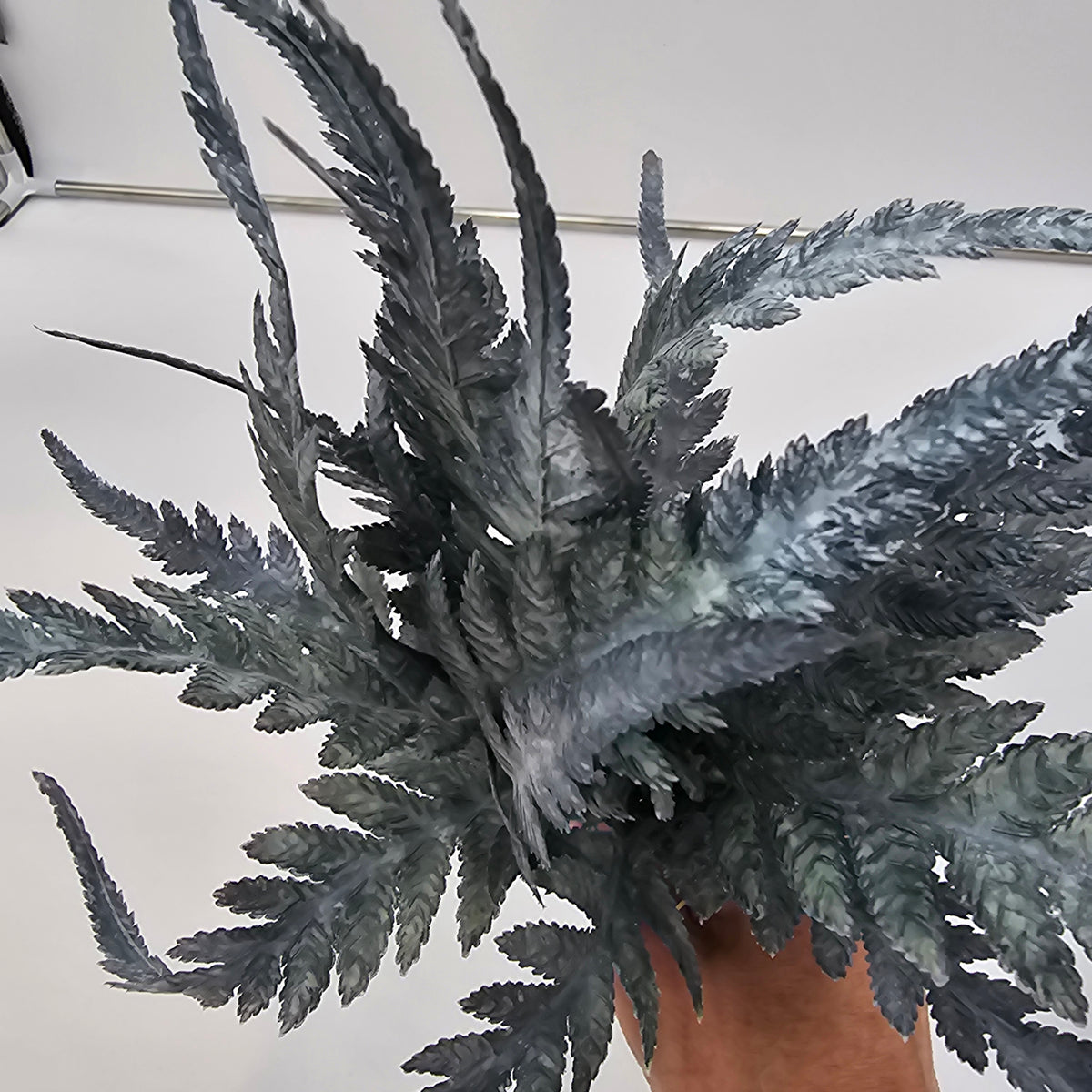 16.5&quot;FERN BUNDLE-#xab543-gr