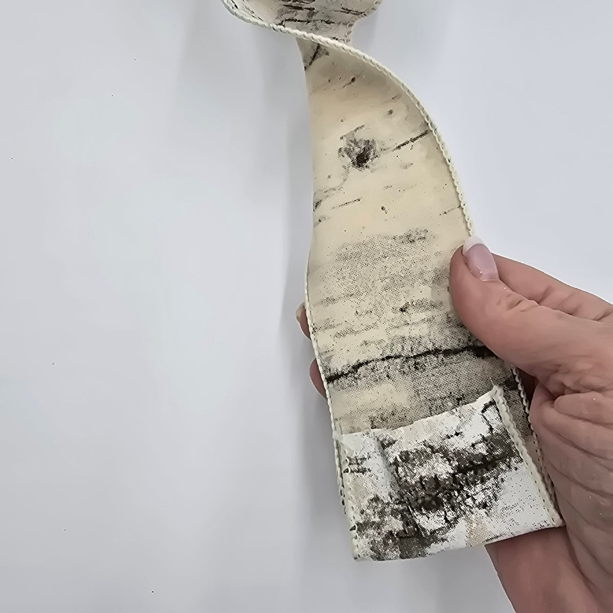 2.5&quot; Gltr Birch Ribbon--#rw6034