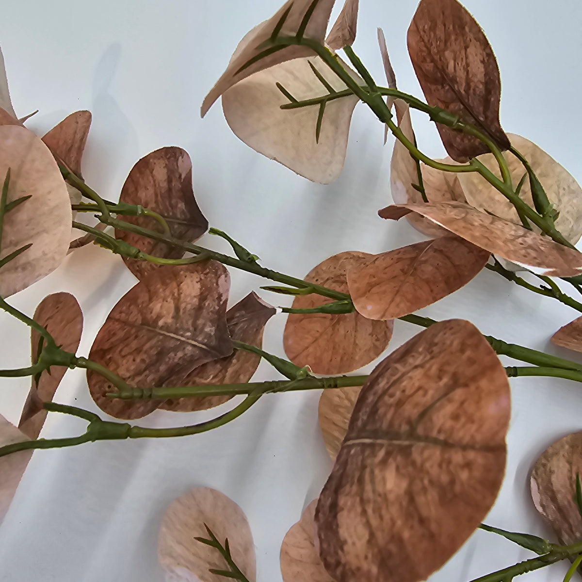 25&quot; Smoketree Lf--#pss821