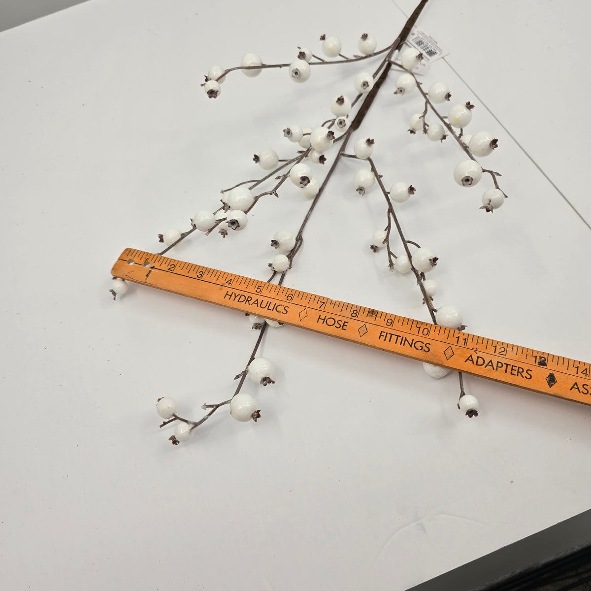 30&quot; WR Mini Pomegranate Spry--white #285126