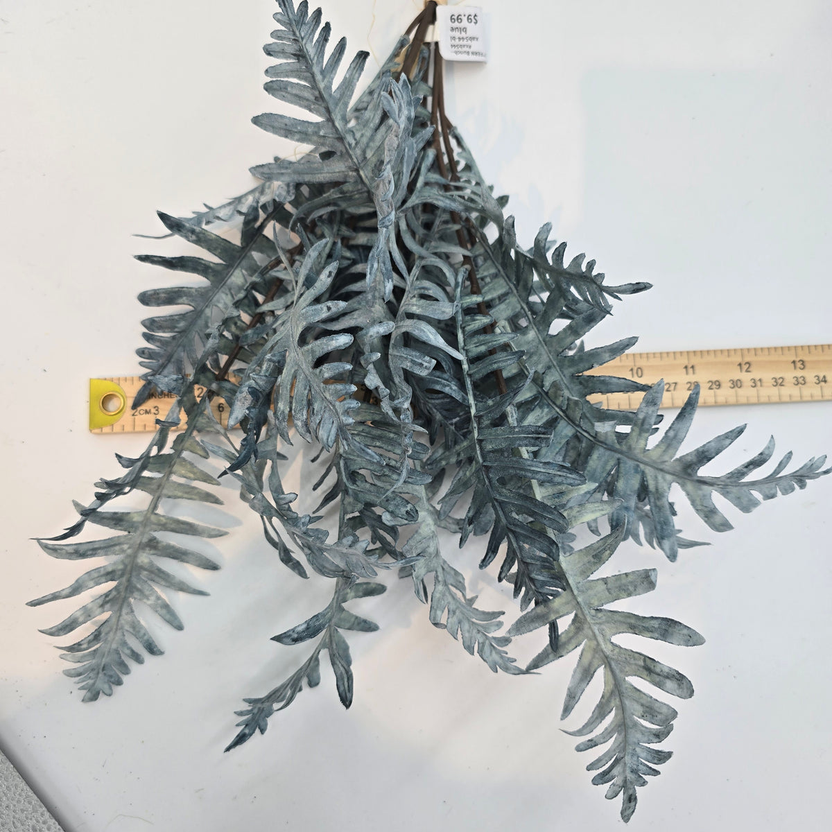 20.5&quot;FERN Bunch--#xab544