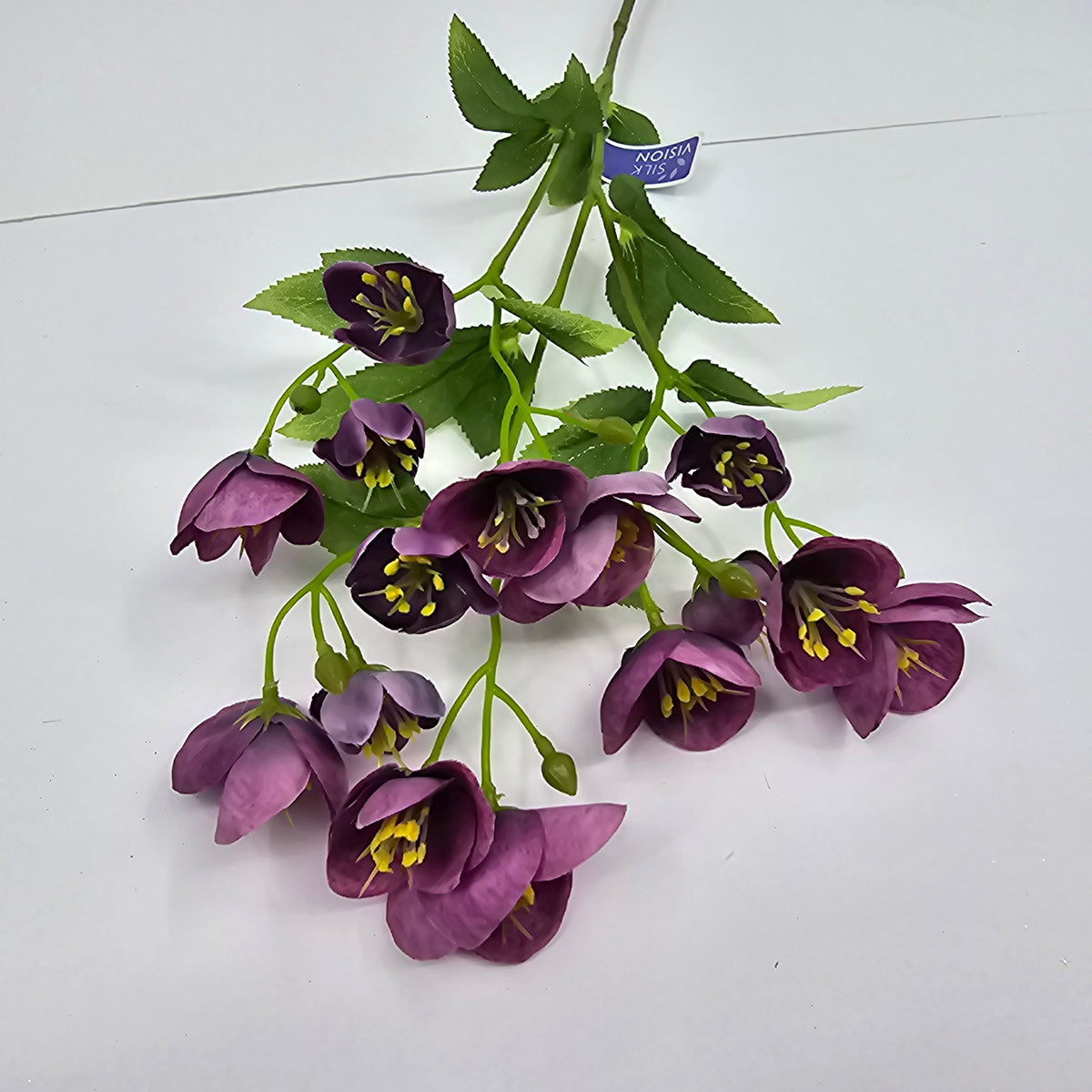 23&quot; Helleborous--#fsh153