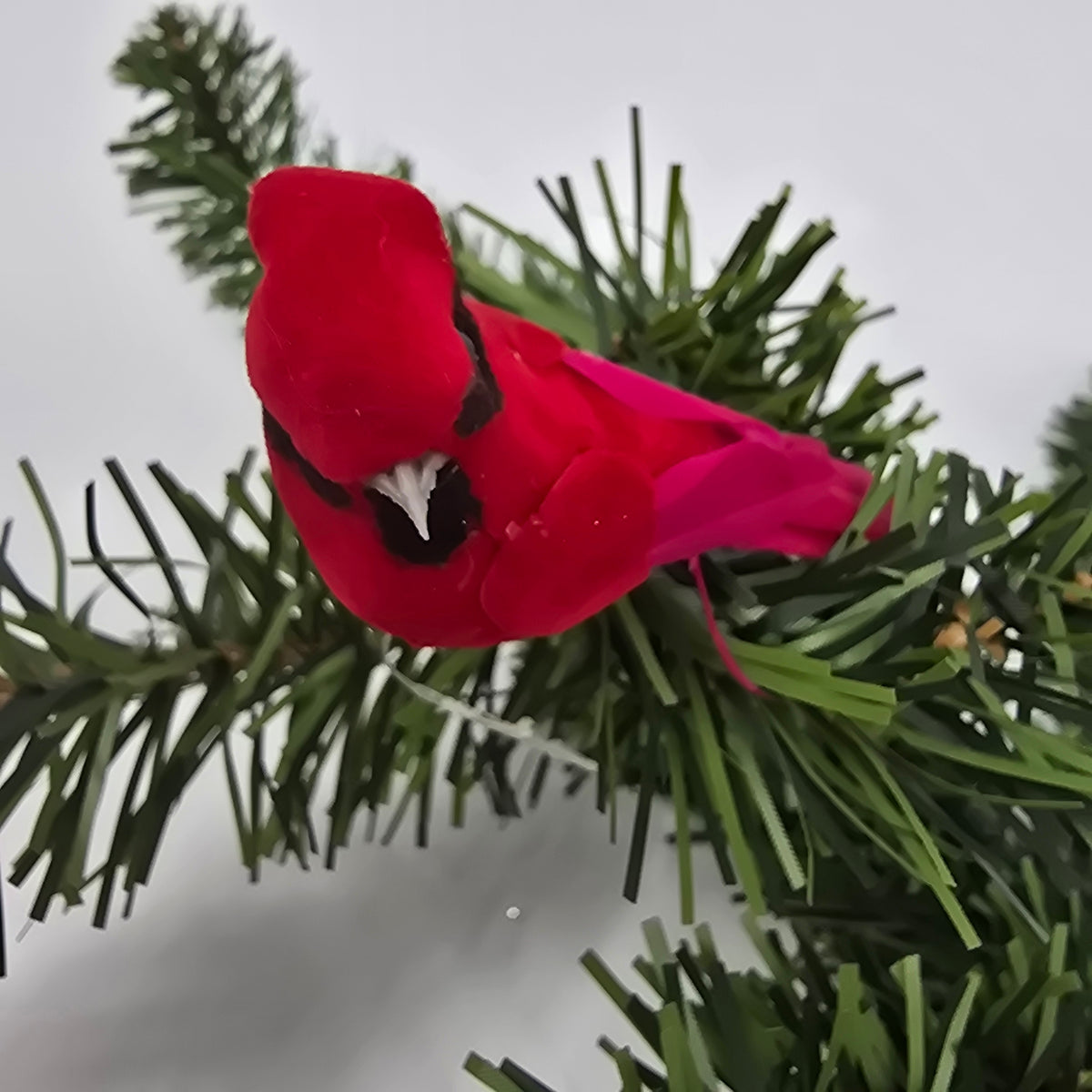 Mini Cardinal--#131703