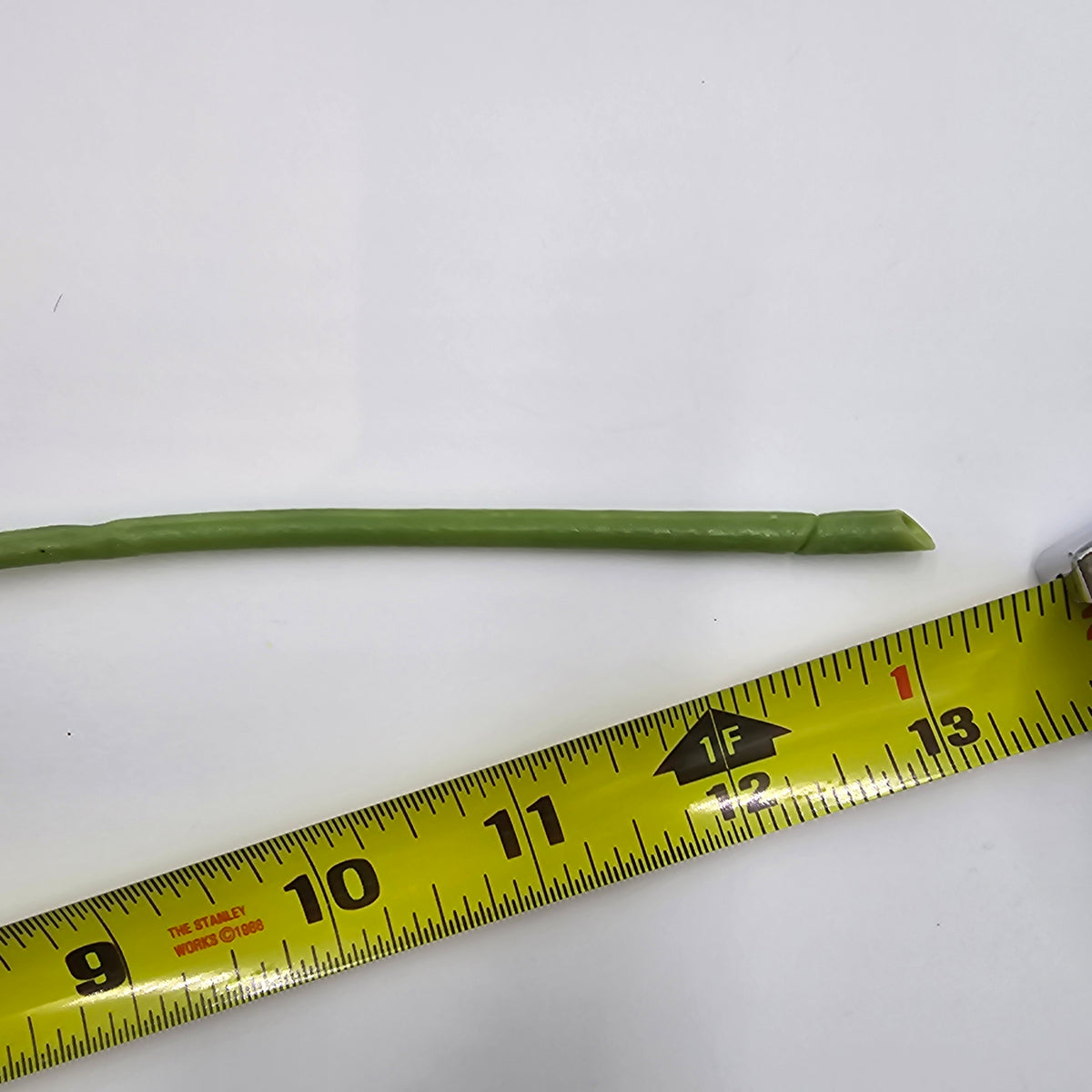 Real-touch Anemone--#fsa259