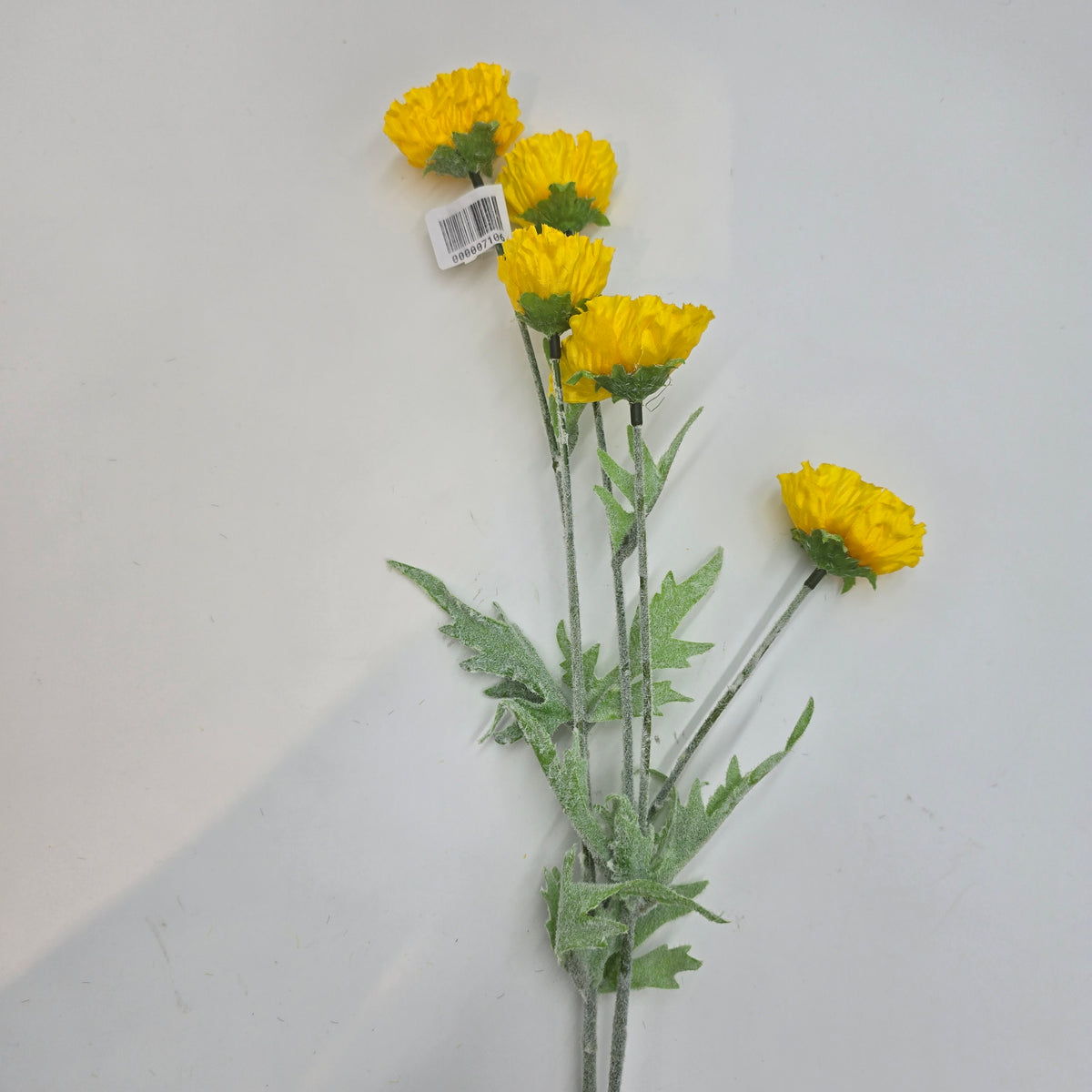 26&quot;MEADOW POPPY--#fsp748-ye