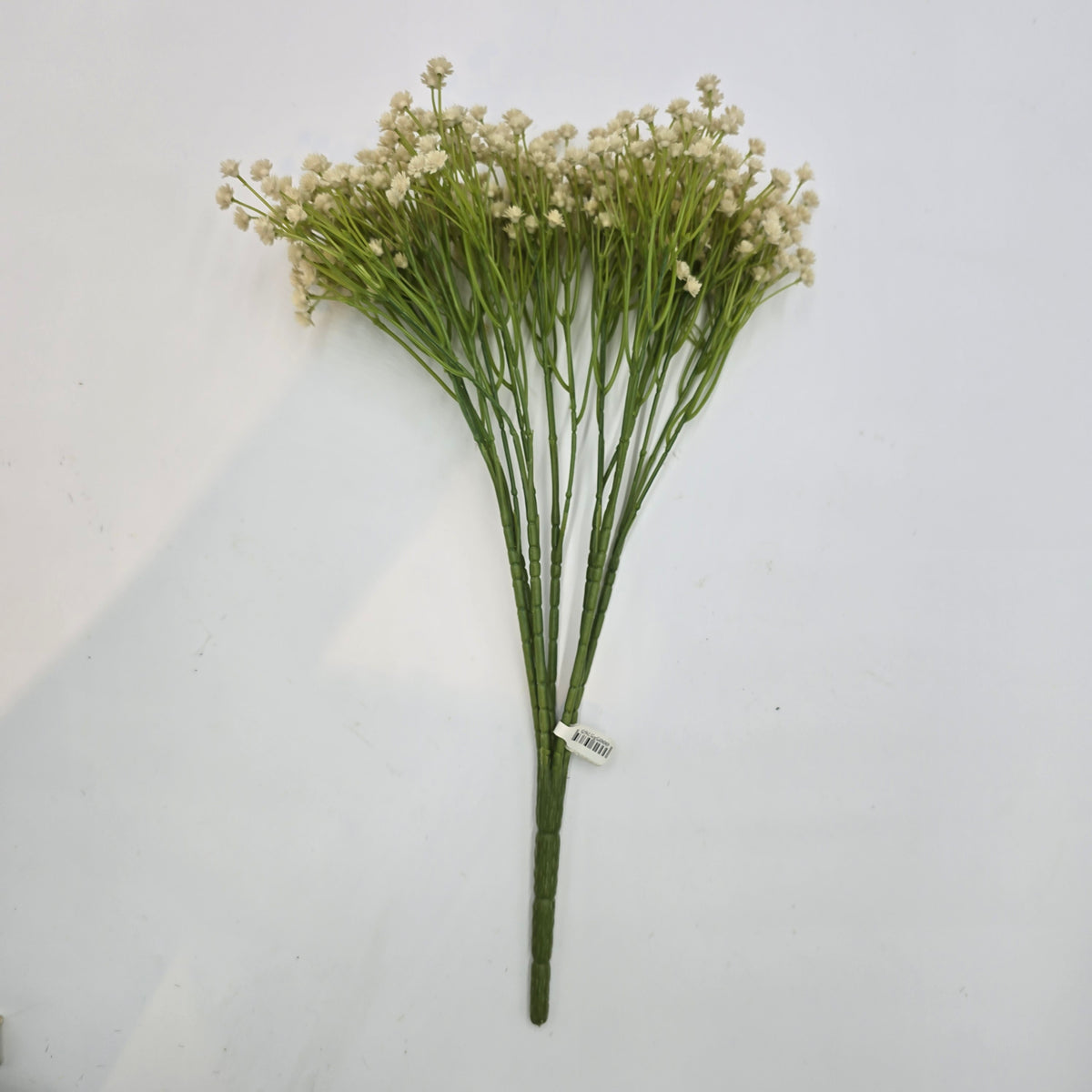 Baby&#39;s Breath Bush--#fbg483