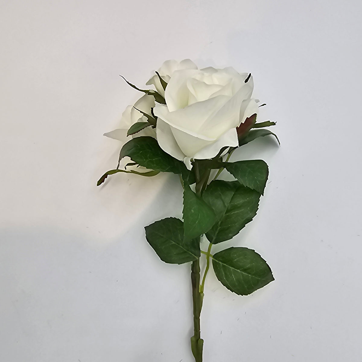 15.5&quot;ROSE--fsr205