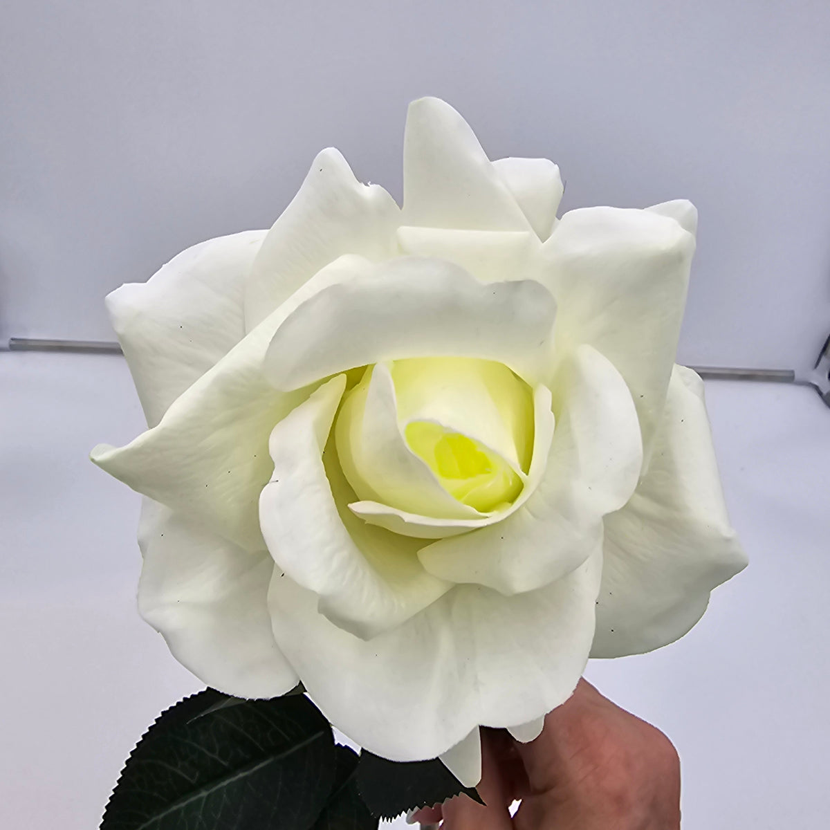 20.5&quot; REAL TCH ROSE--fsr422