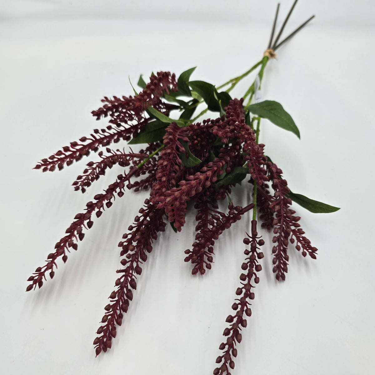 25&quot;PIERIS JAPONICA--#fsj991