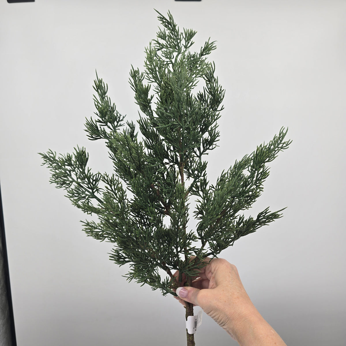 34&quot; Cedar Spray #ysc343