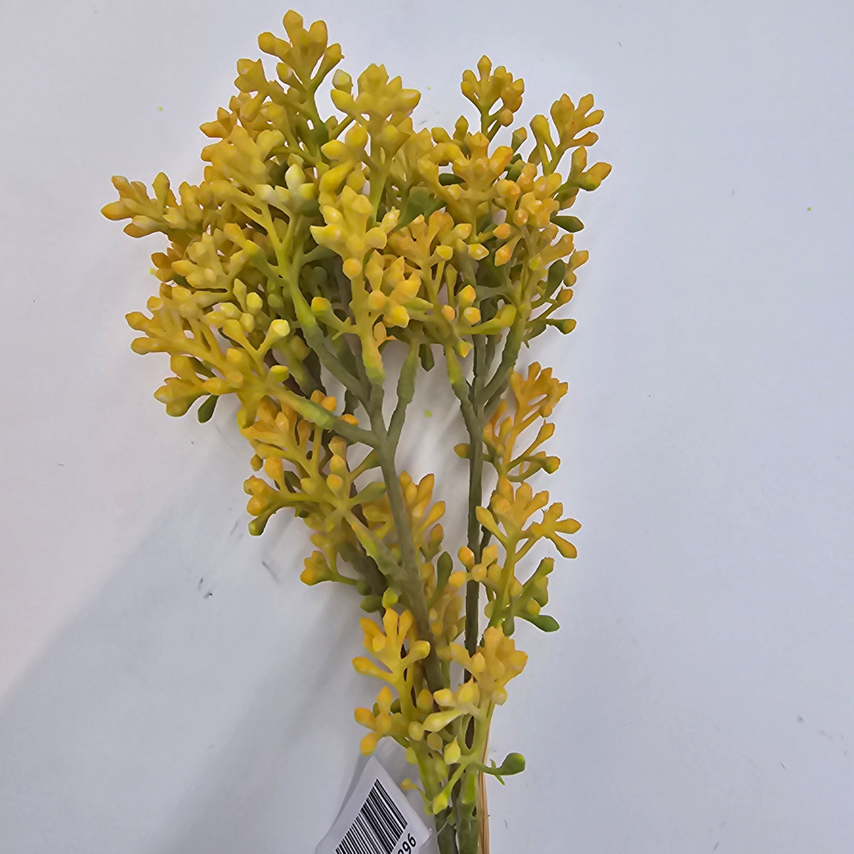 14&quot; sedum bundle--#fbs120