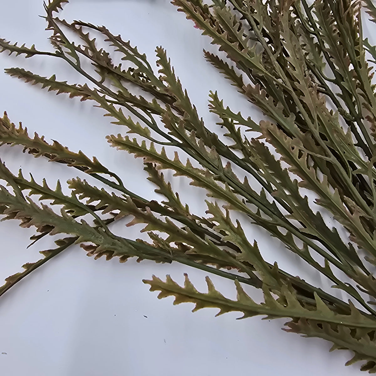 18&quot; Real touch Fern Bush--#pbf070