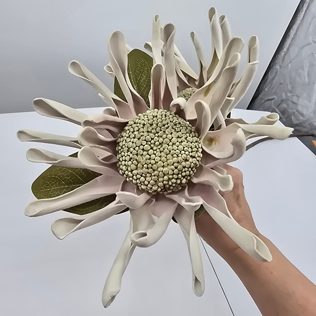 41&quot; Spider Mum -- #fsm180