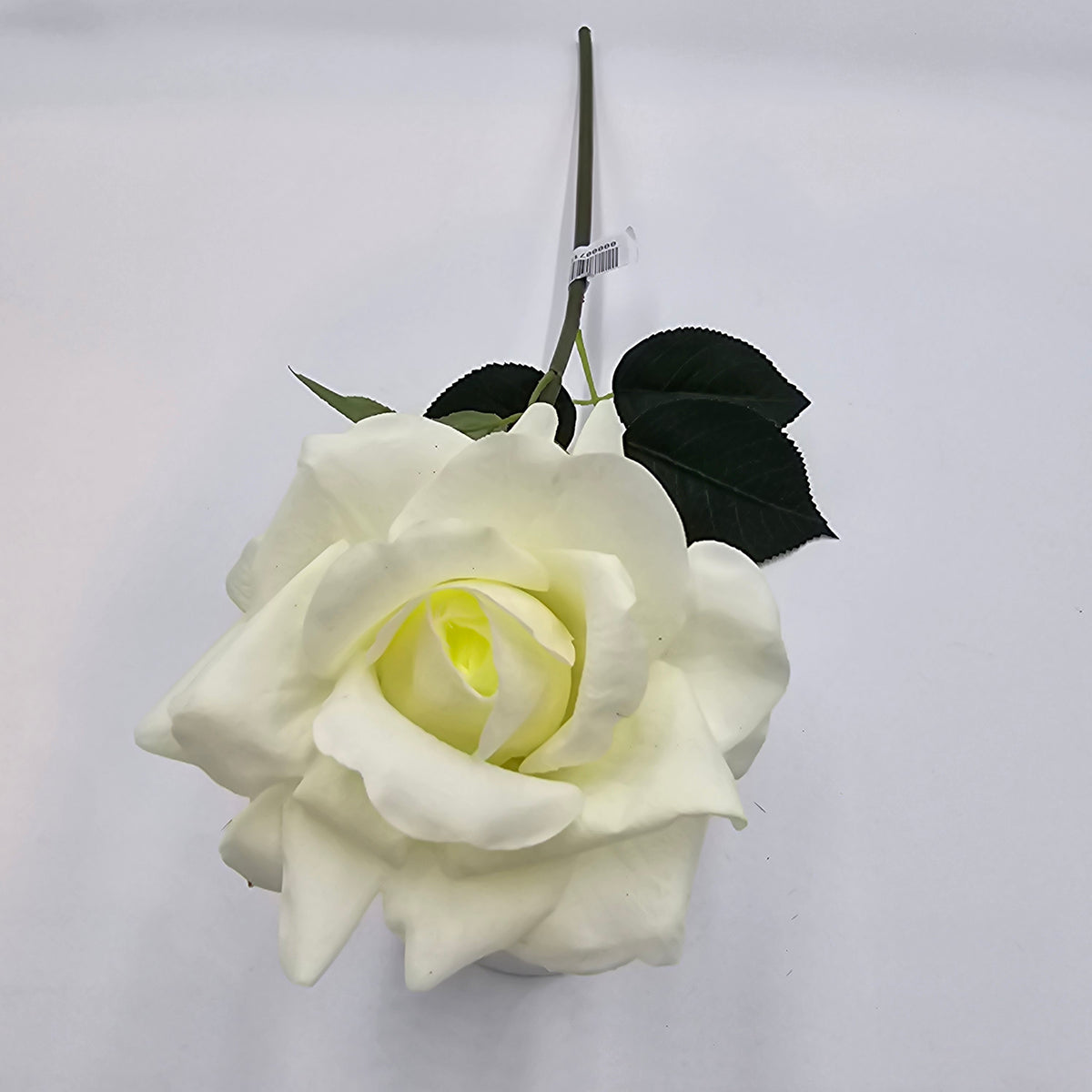 20.5&quot; REAL TCH ROSE--fsr422