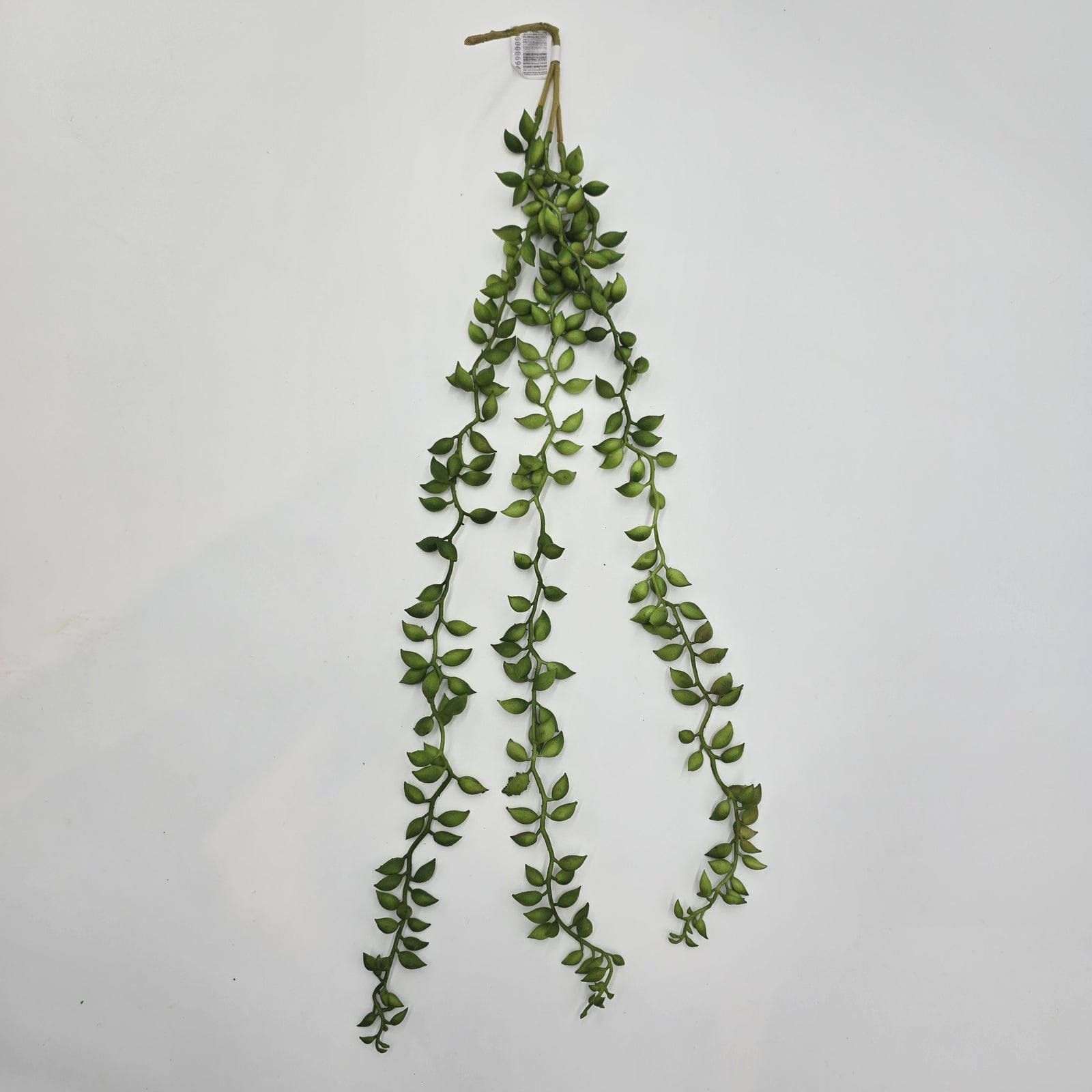 26"String of Pearls--#CS2011