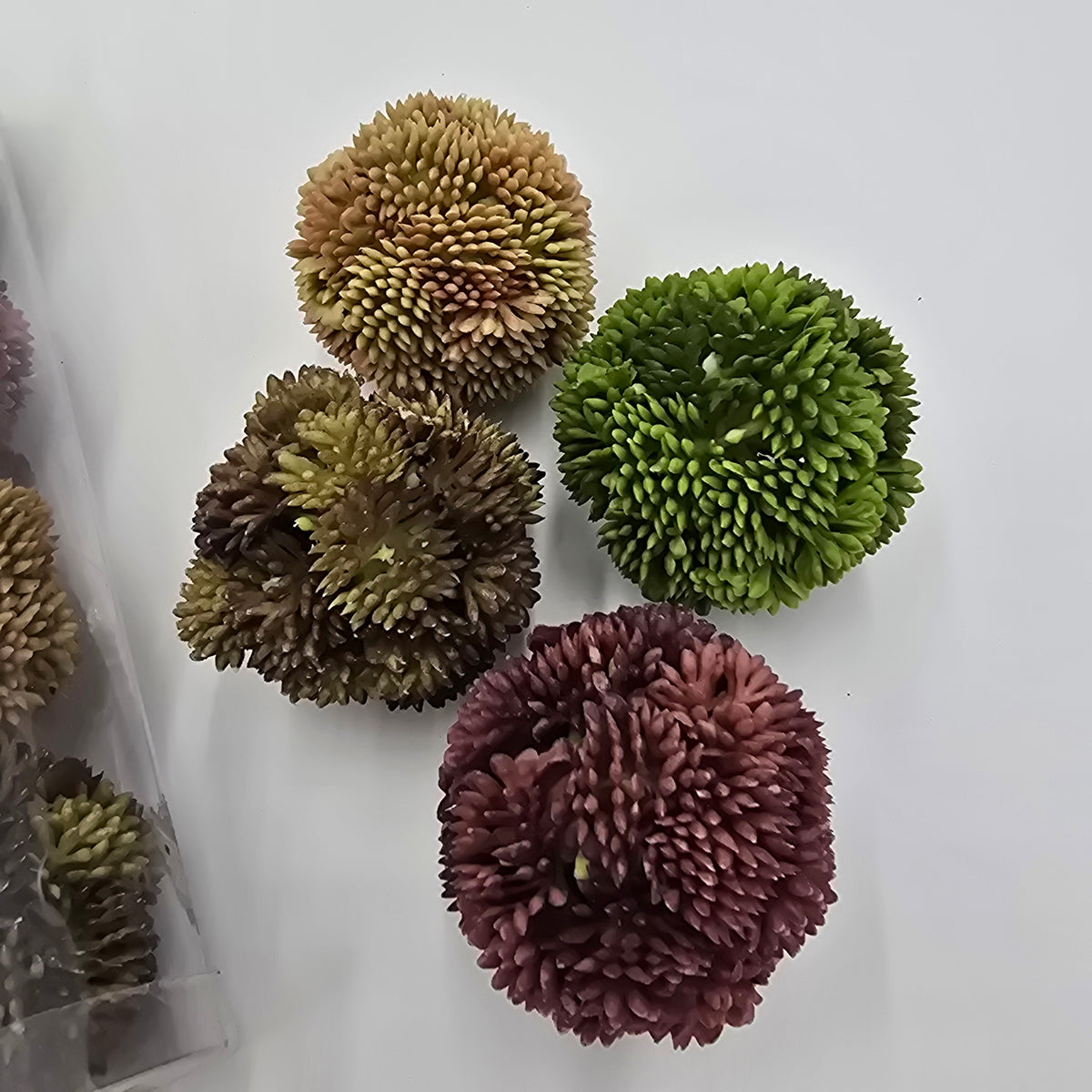 Set 4 sedum balls--2&quot; dia succulent