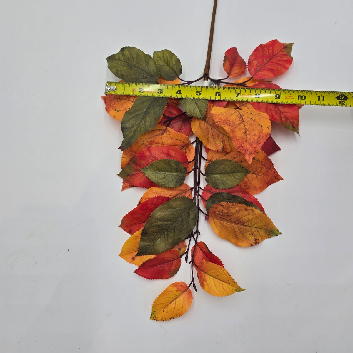 20&quot; Salal Leaf Pick--#pks433