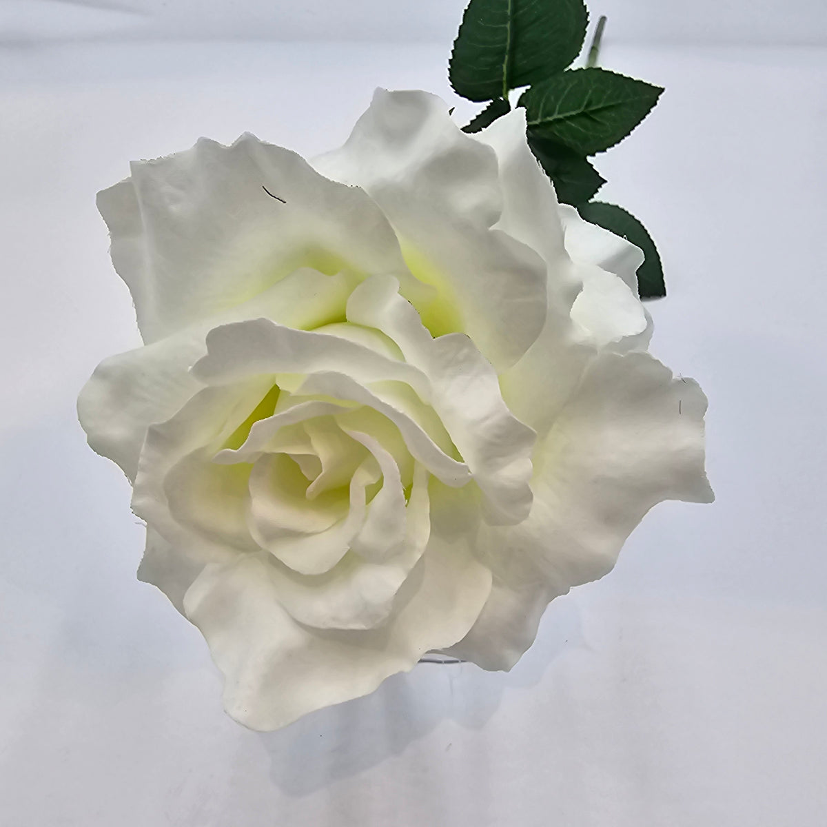 27&quot;LG ROSE--fr2008