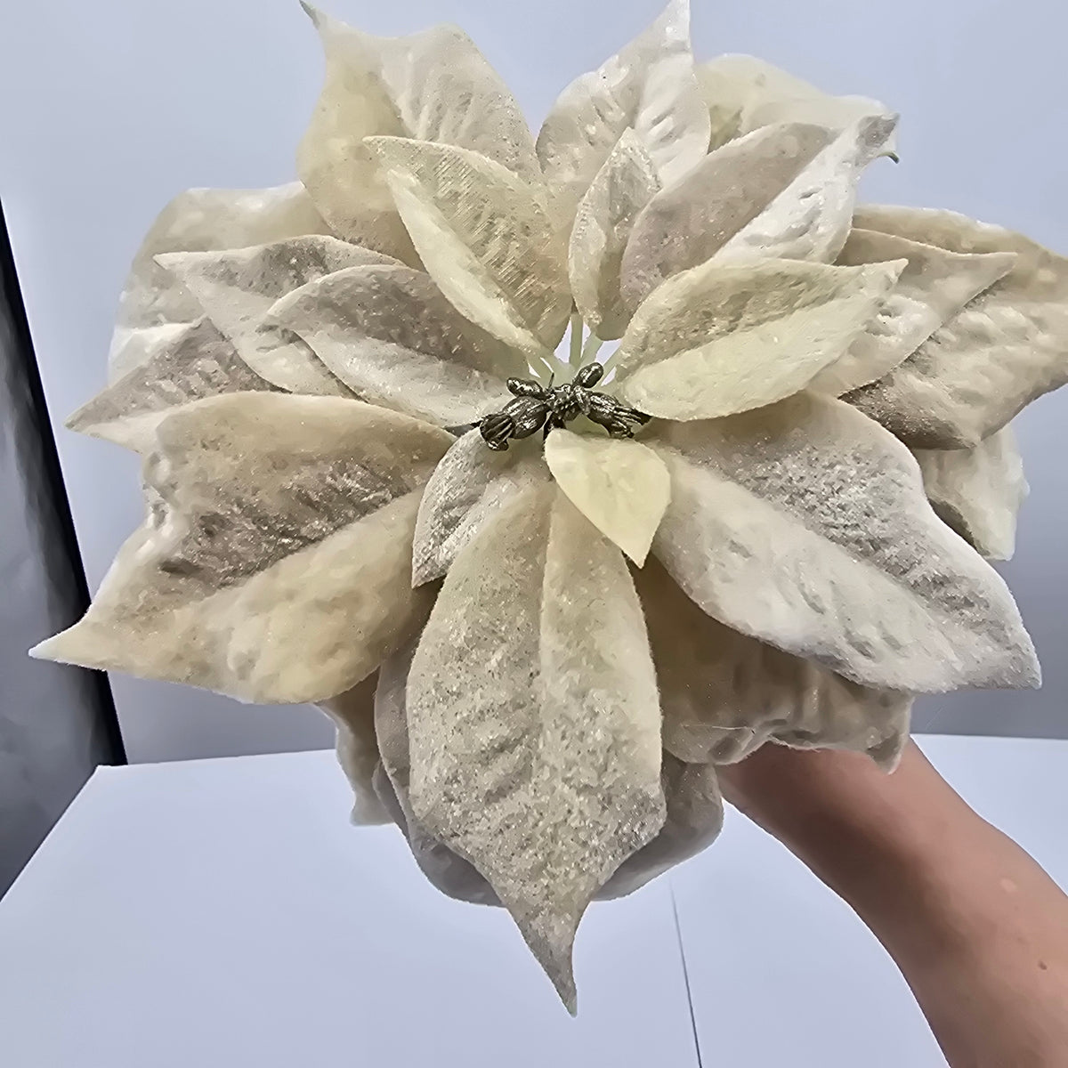 28&quot; Velvet Poinsettia--#xfs584