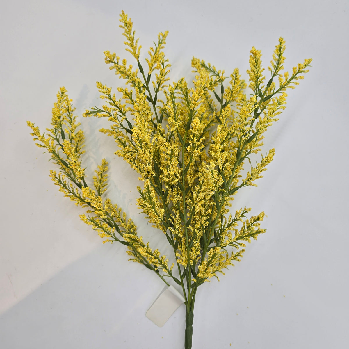 Astilbe Bush--fba256