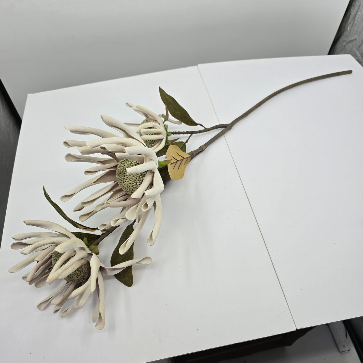 41&quot; Spider Mum -- #fsm180