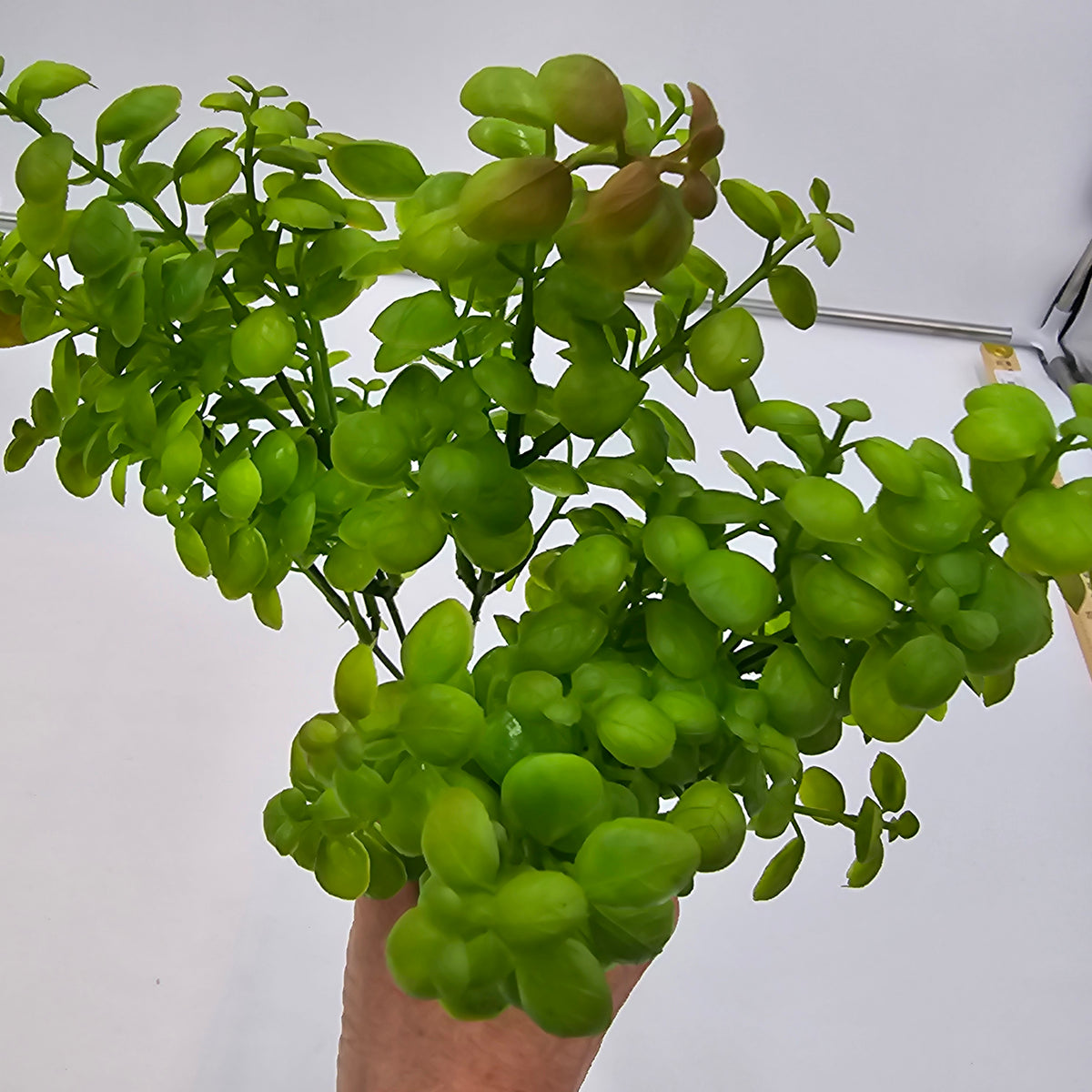 12&quot; Boxwood Bush (Green) #pbb399-gr