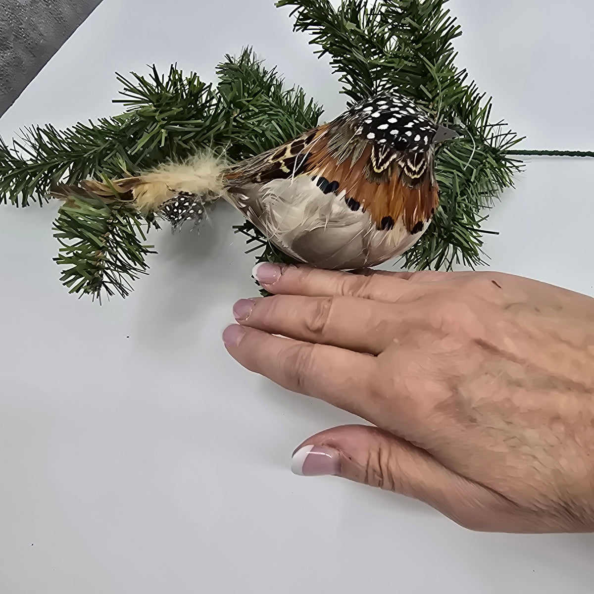 3&quot;x10&quot; Spotted Bird/clip-#bbc240