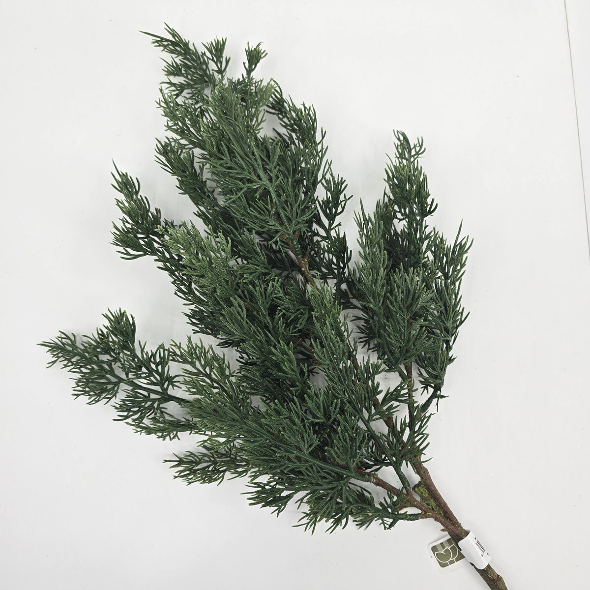 34&quot; Cedar Spray #ysc343