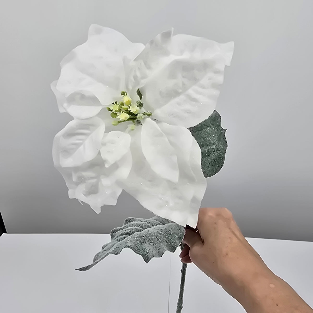 27&quot; Frosty Poinsettia--#xfs765