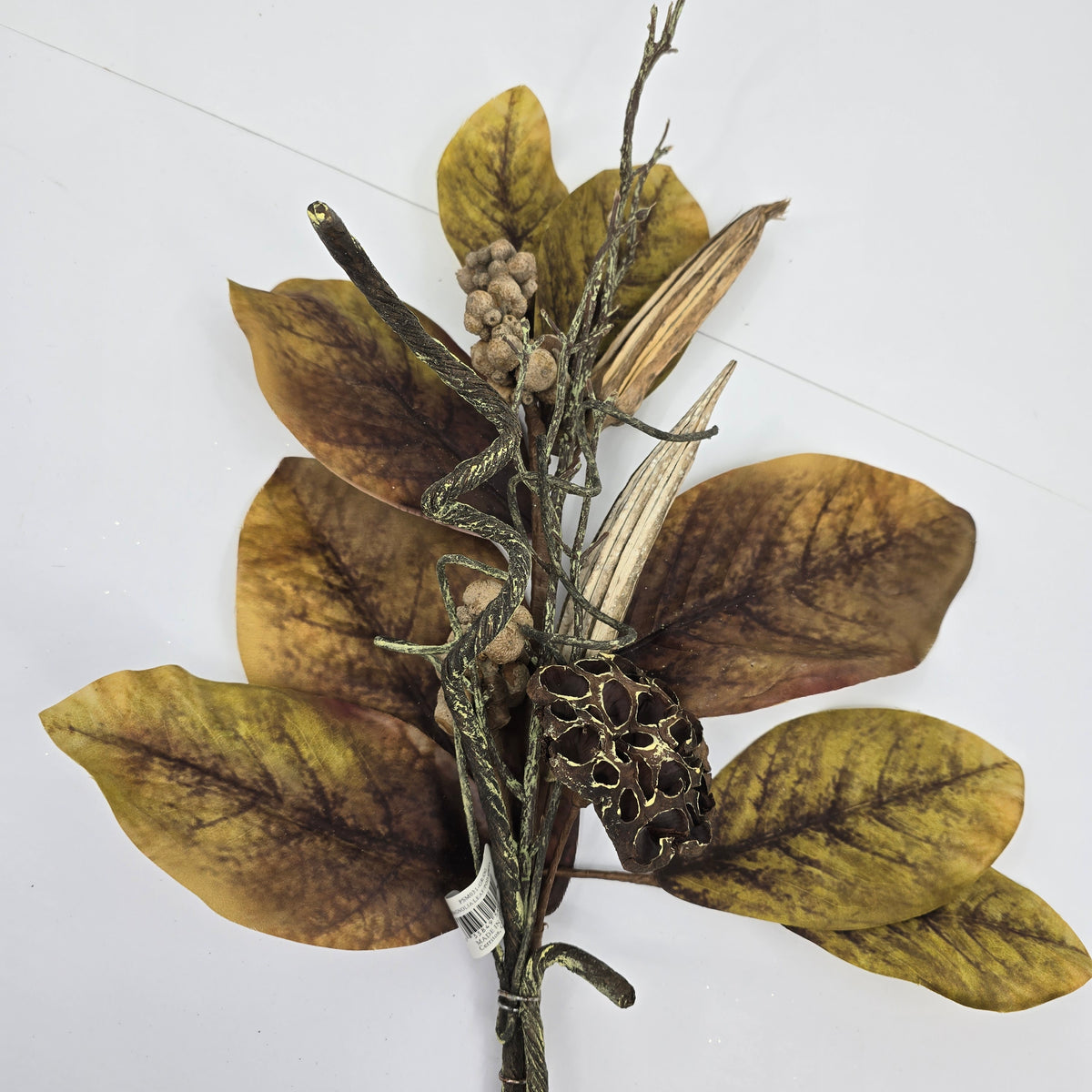 31&quot; Magnolia Leaf/Pod--#psm031