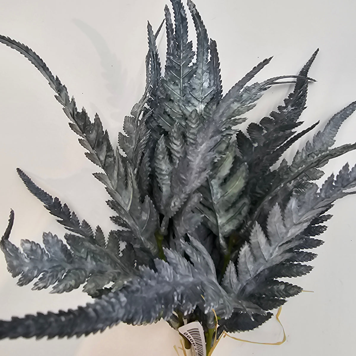 16.5&quot;FERN BUNDLE-#xab543-gr