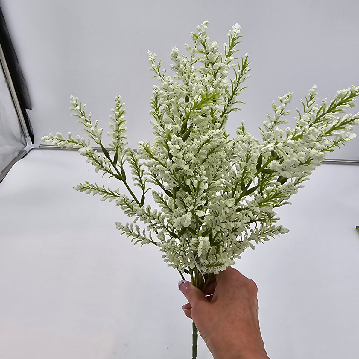 Astilbe Bush--fba256