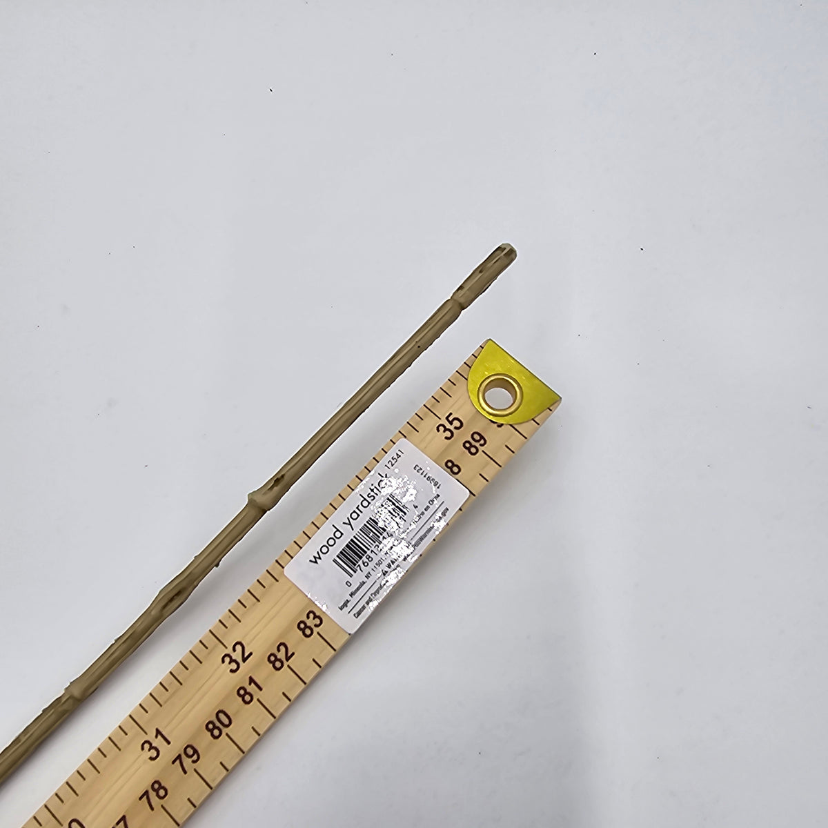 Reed Grass-36&quot; #fsg006