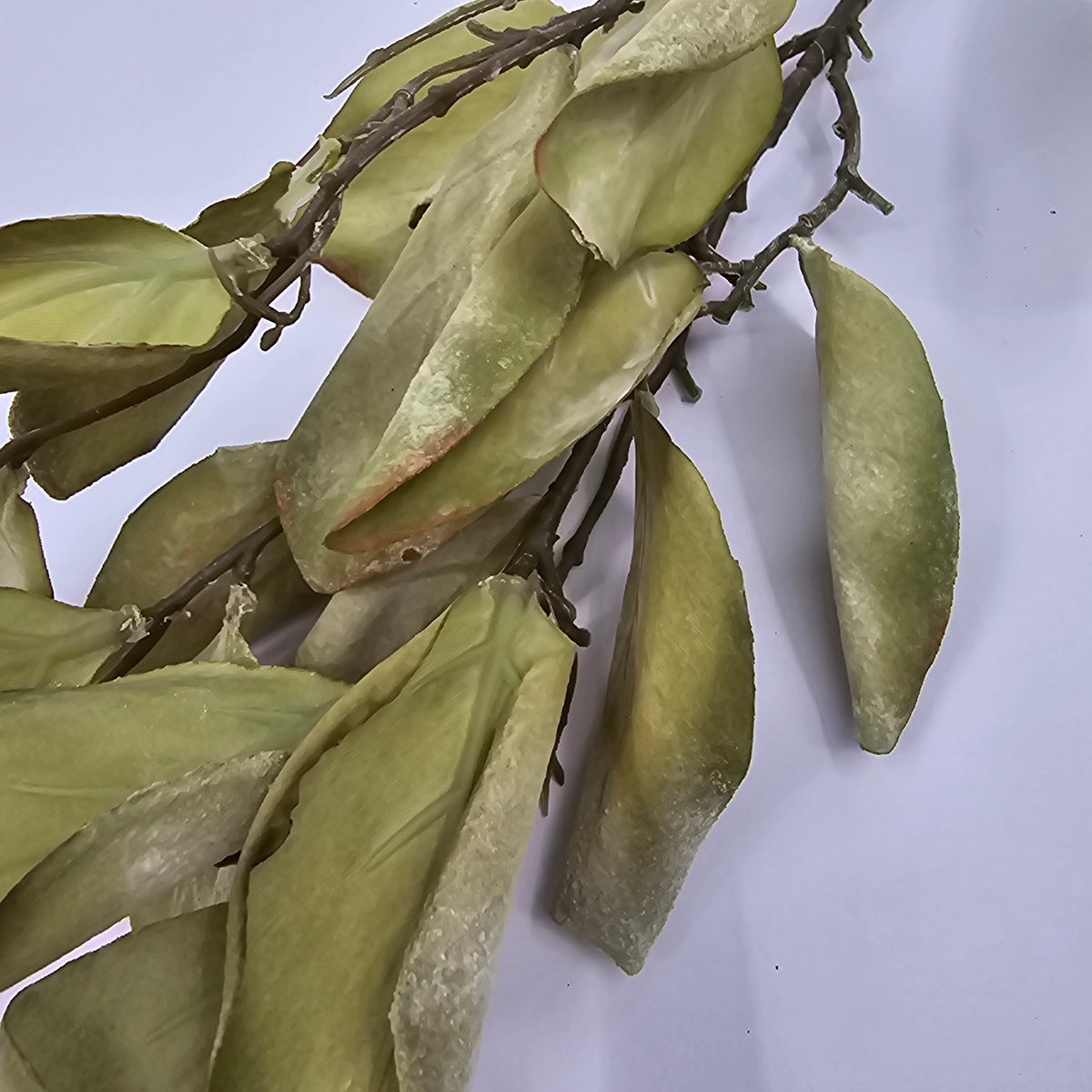 29.5&quot; Protea Leaf Spray--#psp713