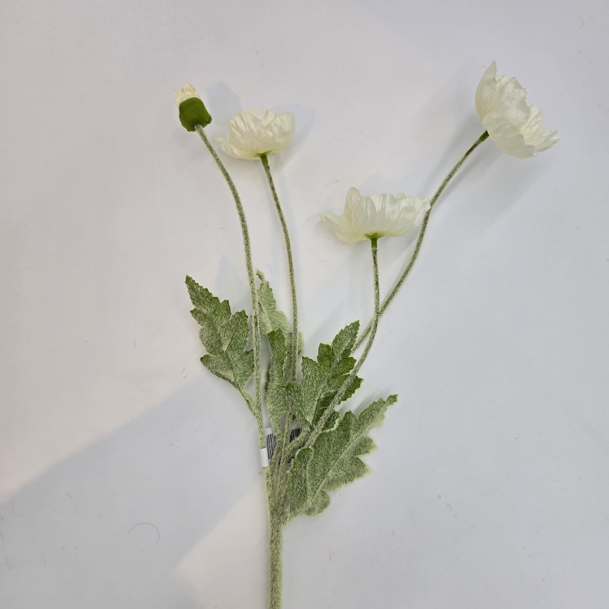 23.6&quot;POPPY--#fsp304-fl