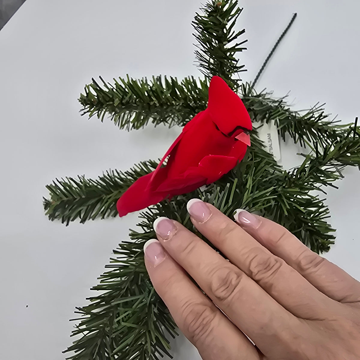 4&quot; Cardinal--#15028