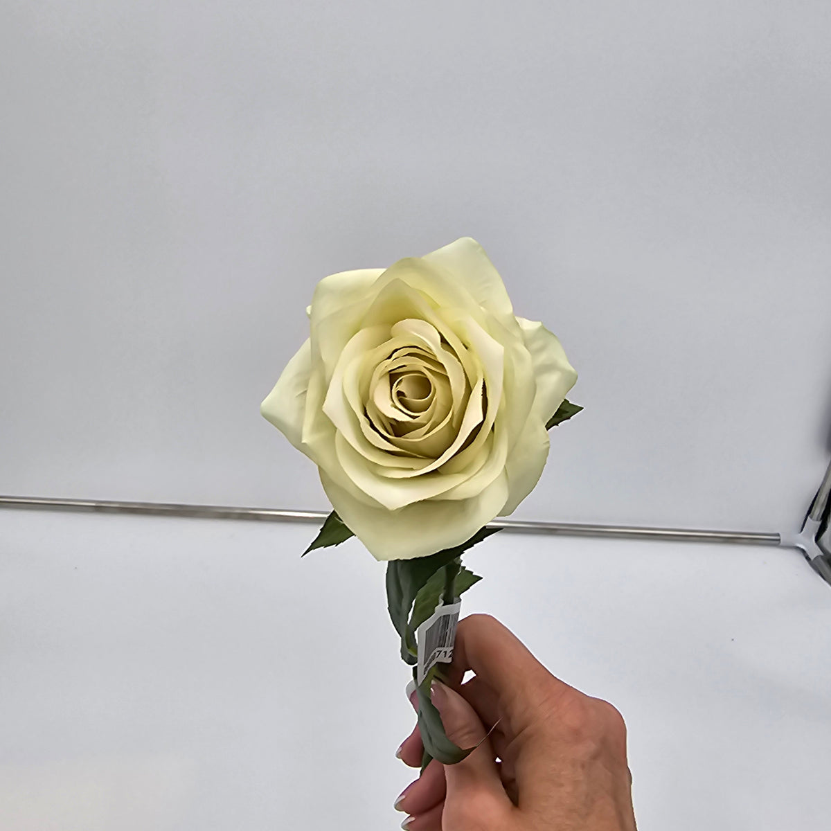 21.5&quot;ROSE--fsr729