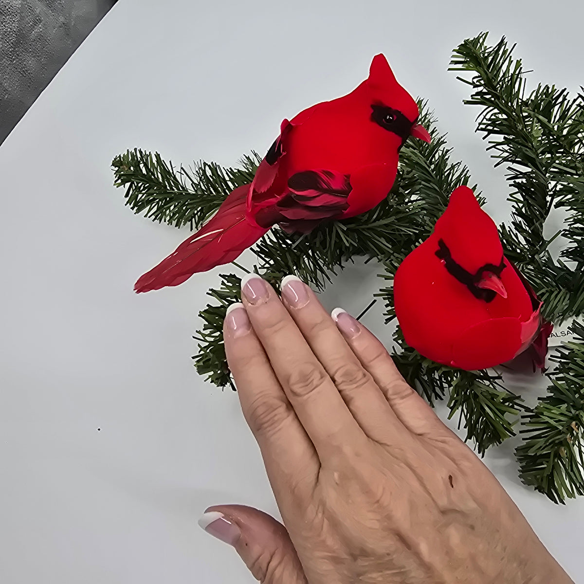 5&quot; Fat Cardinal/clip-#bxc020