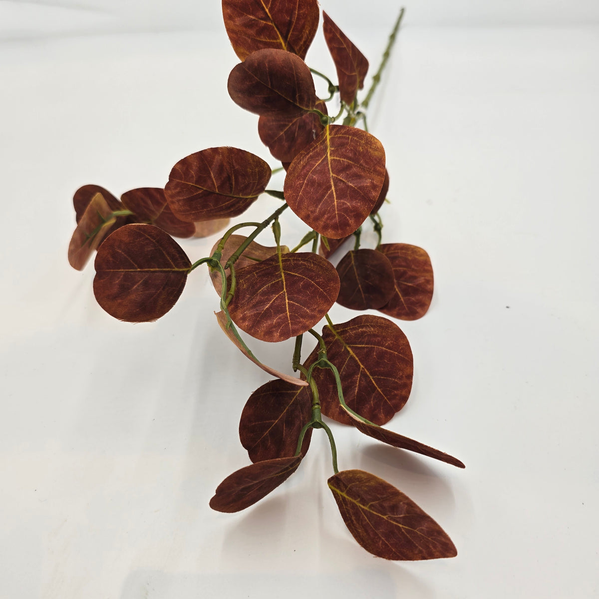 25&quot; Smoketree Lf--#pss821