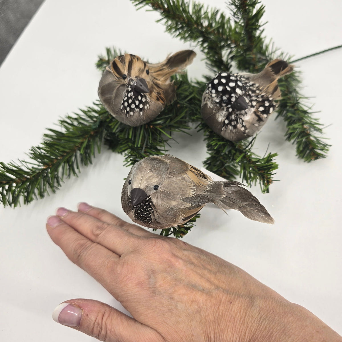 3.9&quot; Bird/clip-#bbc840