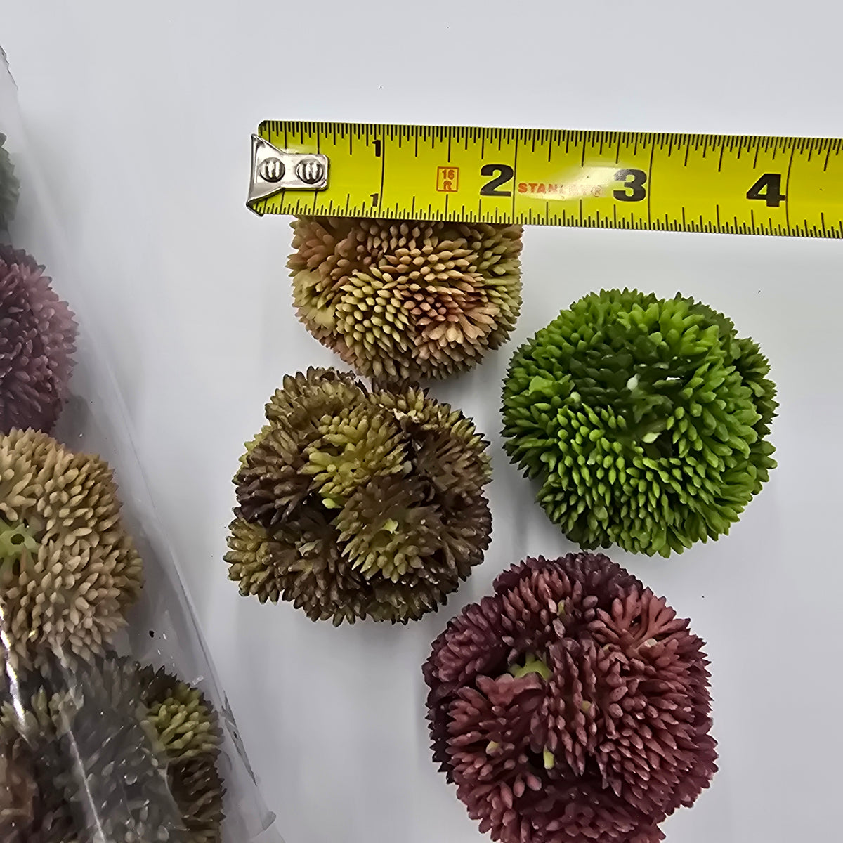 Set 4 sedum balls--2&quot; dia succulent