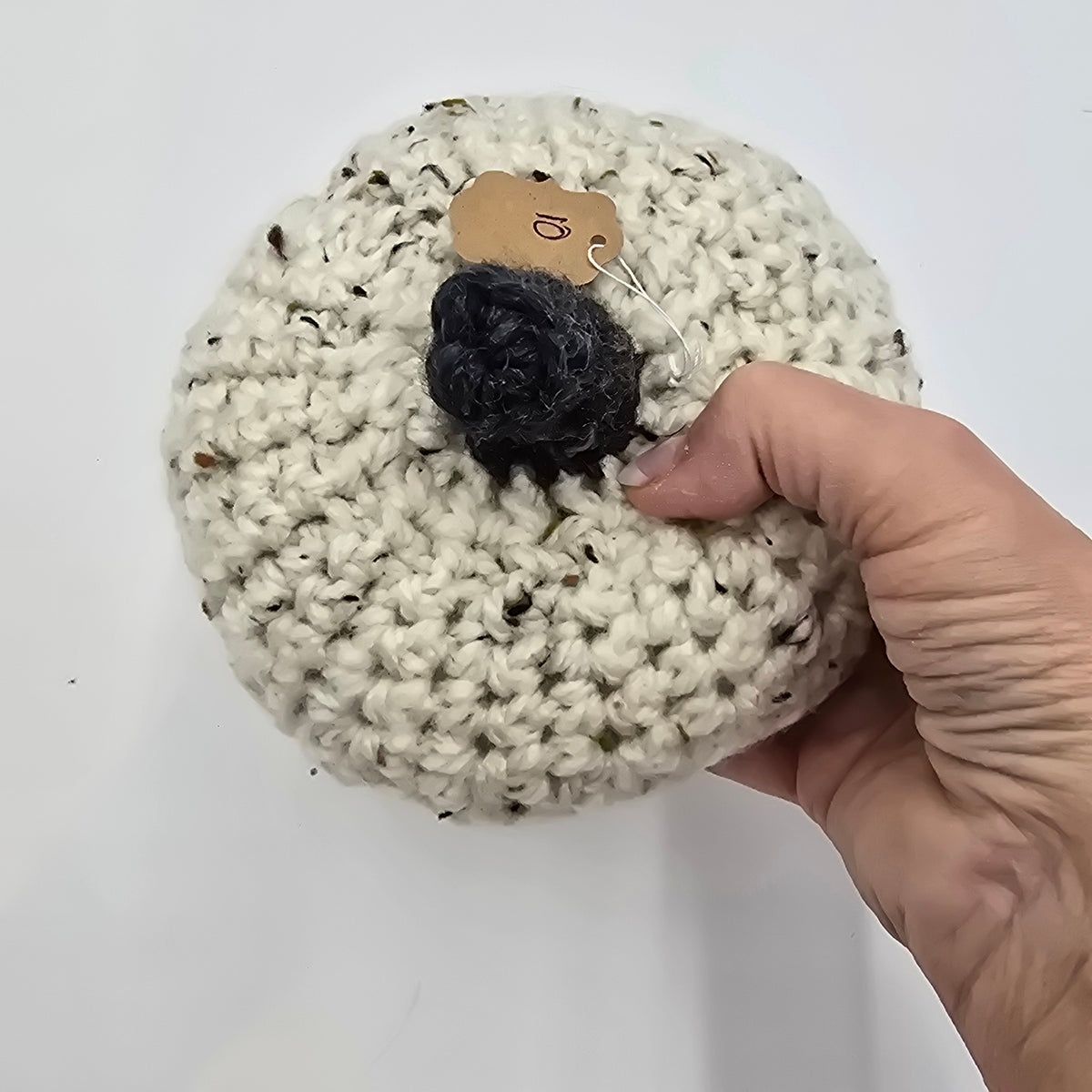 Med Handmade Pumpkin/Oatmeal #10--Crochet