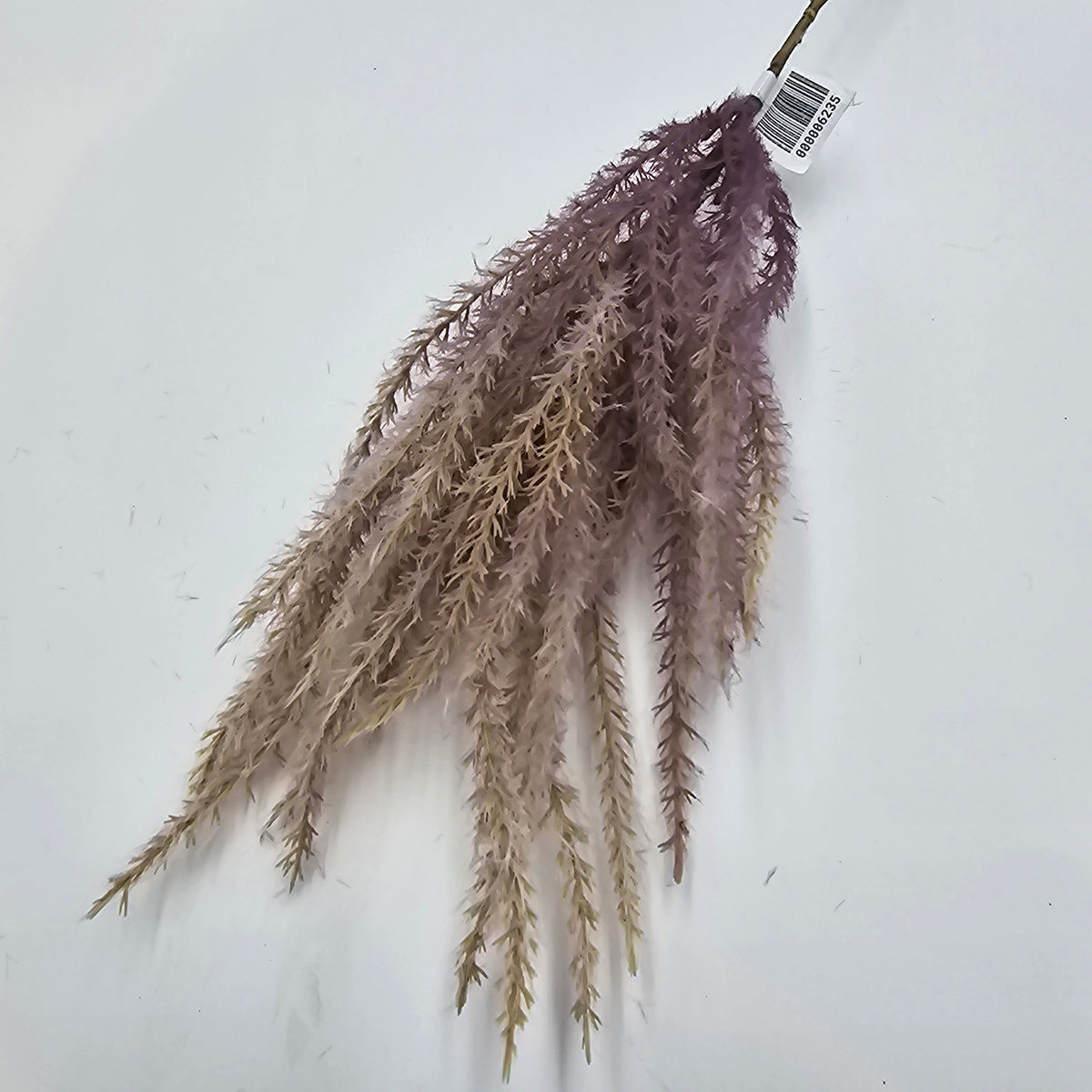 Reed Grass-36&quot; #fsg006